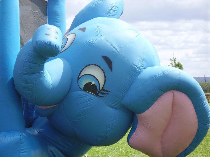 Elefante