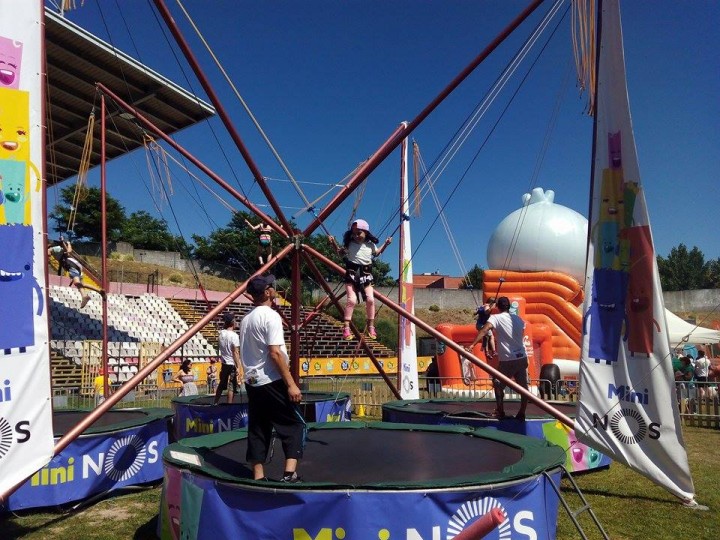 Festival Panda