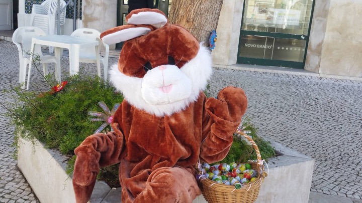 A Sobe Sapo na Festa da Primavera